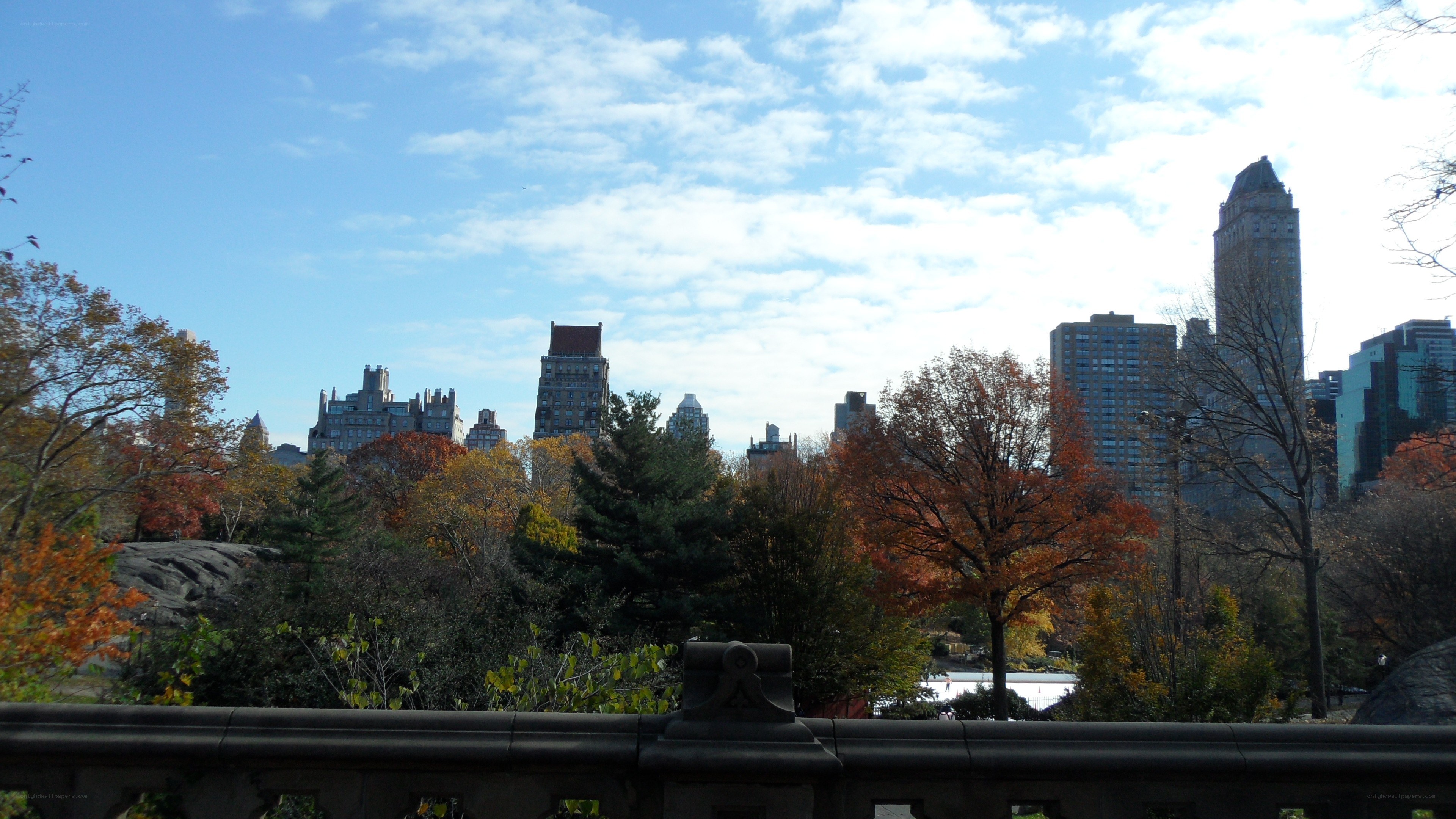 Central Park autumn view