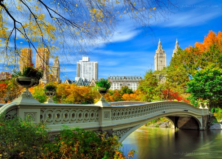 Central Park autumn view