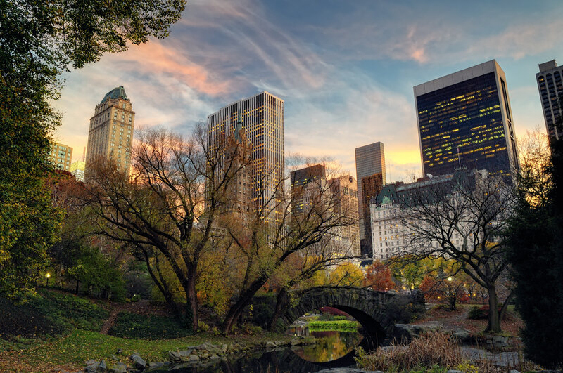 Central Park Bridge