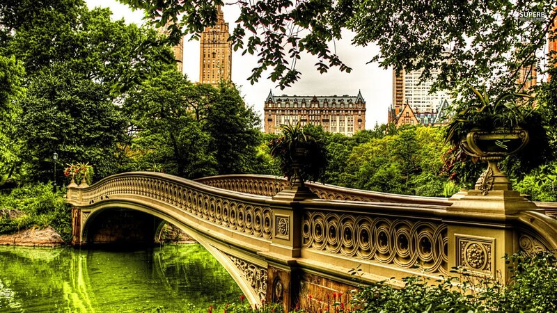Central Park Bridge View
