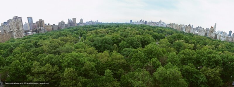 Central Park city view