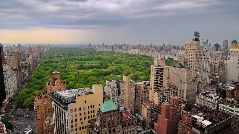 Central Park from above