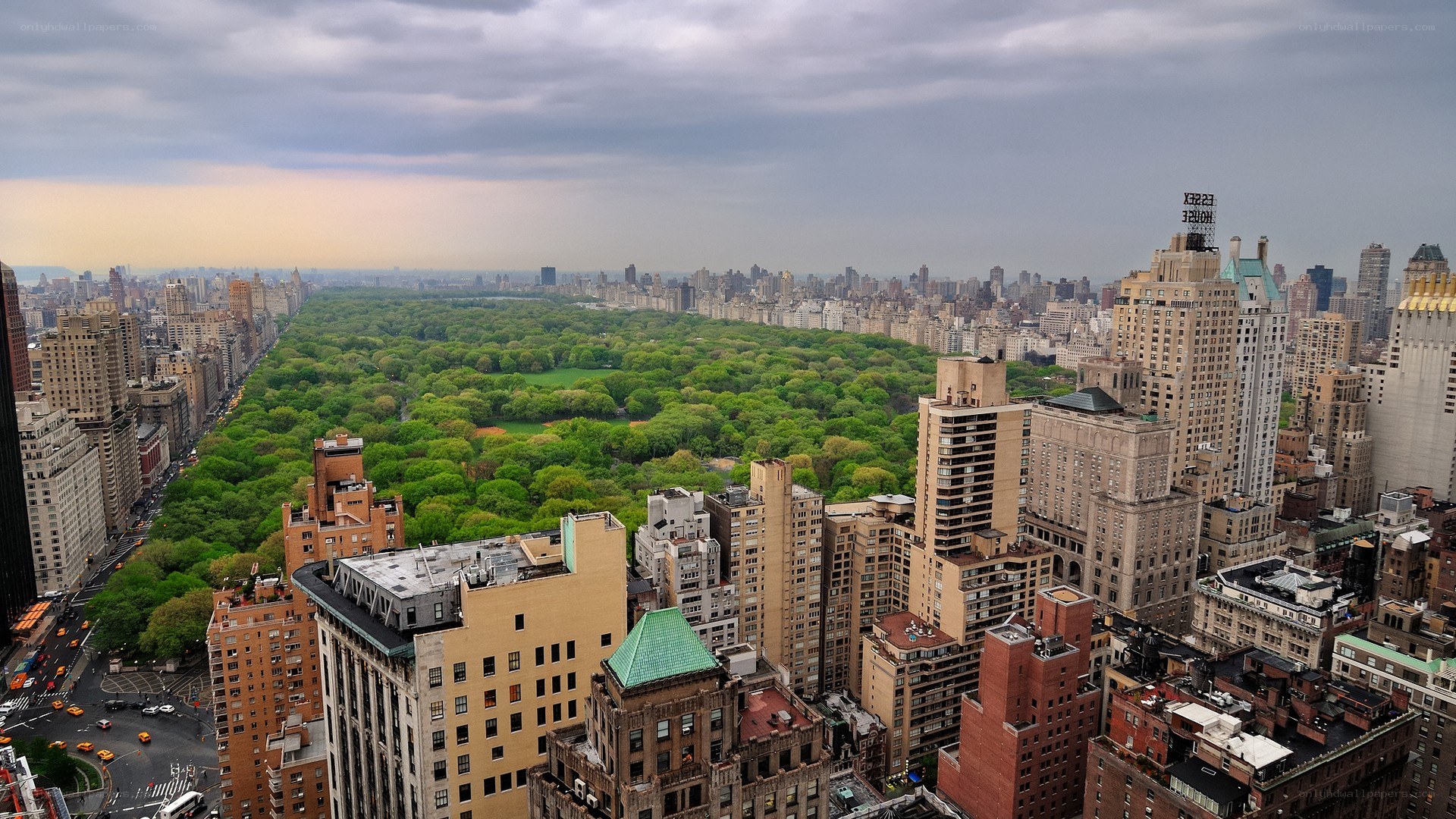 Central Park from above