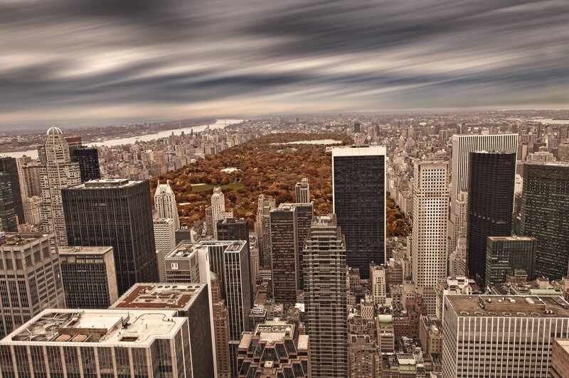 Central Park from Above — Brown