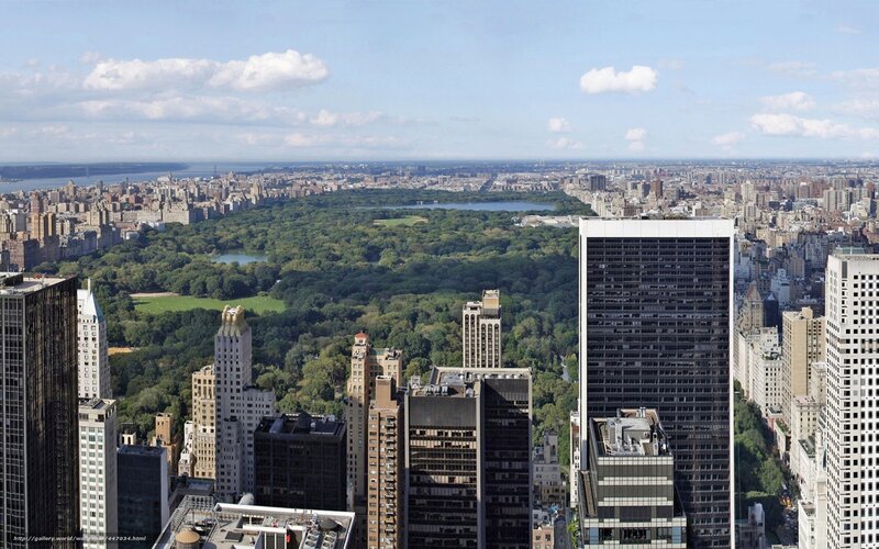 Central Park from skyscraper