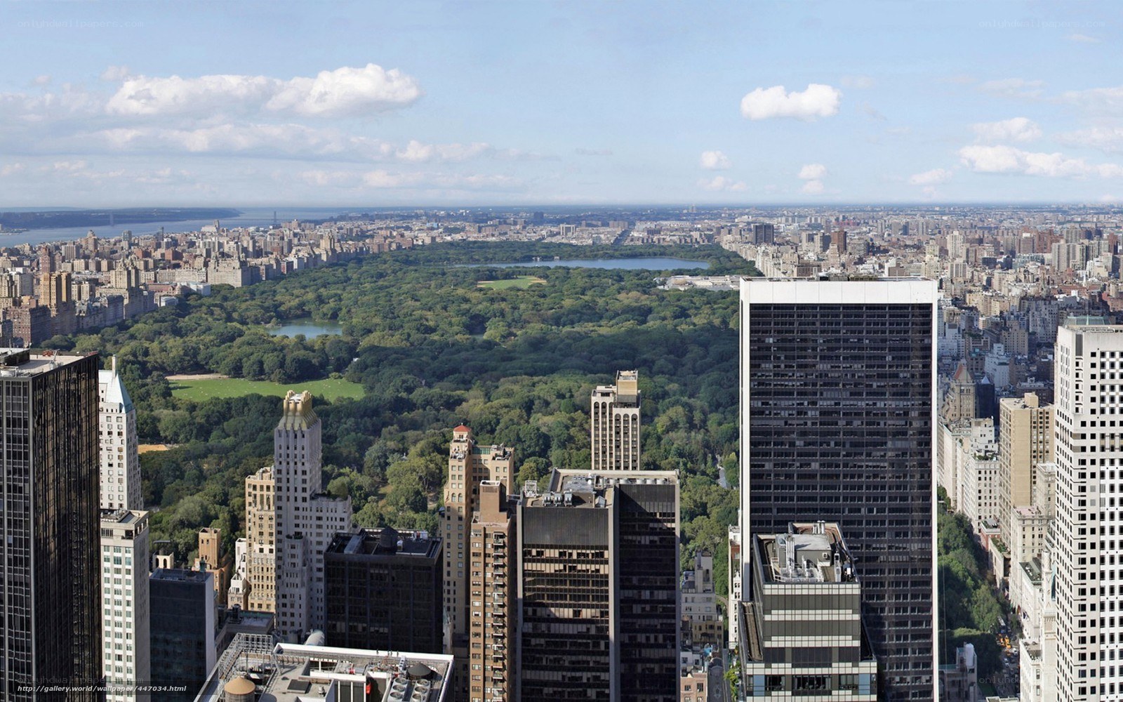 Central Park from skyscraper