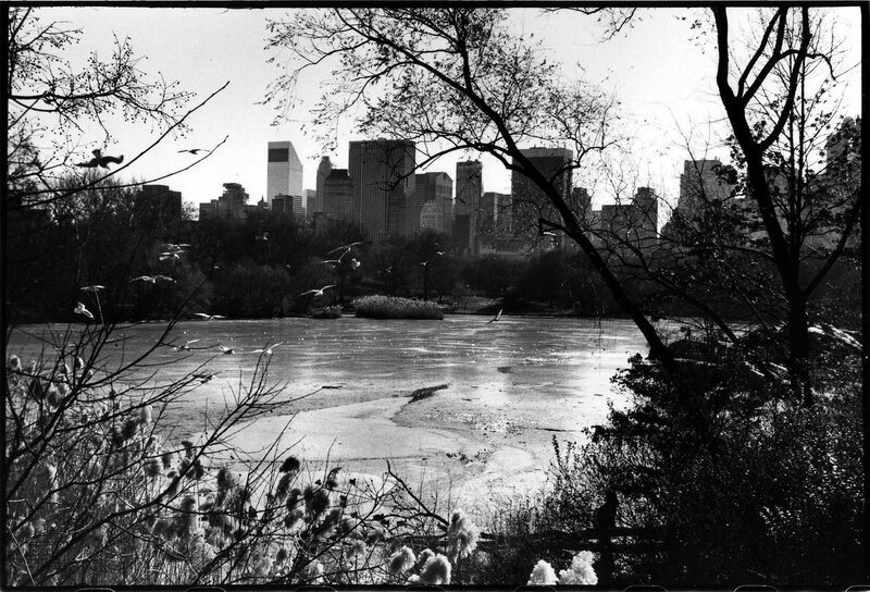 Central Park frozen lake with skyline