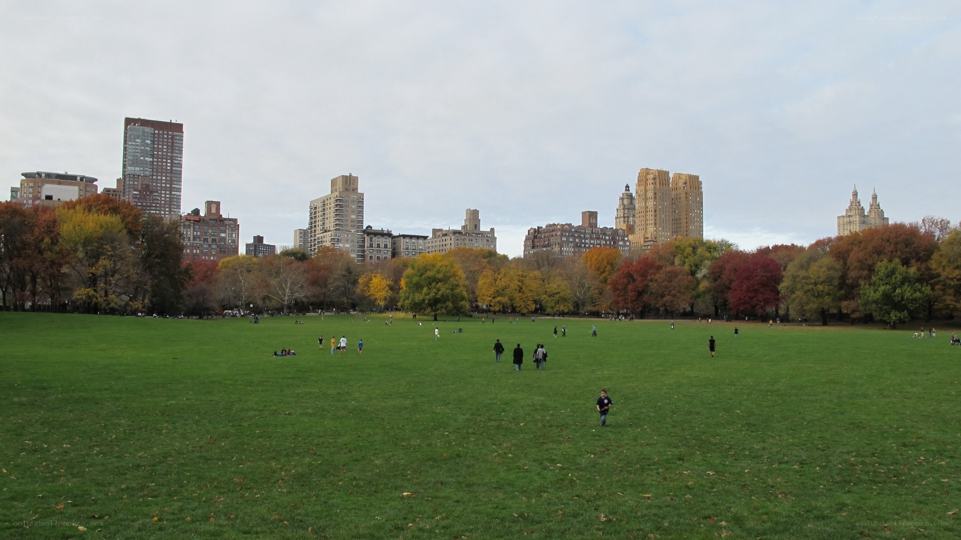 Central Park in autumn