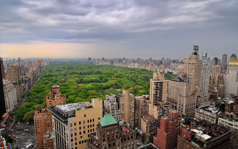 Central Park in New York — Green, Overcast