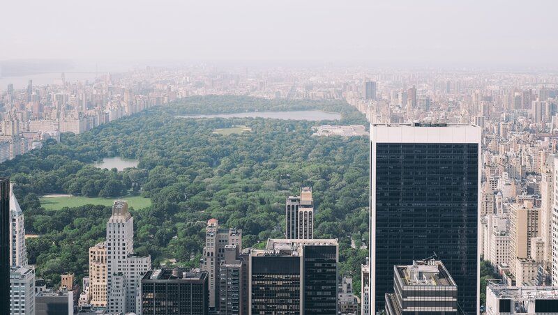 Central Park in New York — Green, Serene