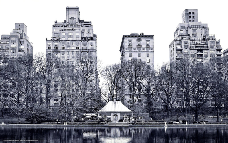 Central Park Lake and Buildings — Black, Serene