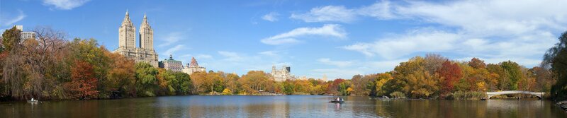 Central Park Lake and Buildings — Blue