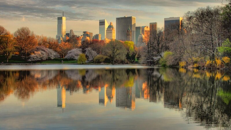 Central Park Lake and Skyline