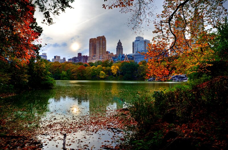 Central Park Lake