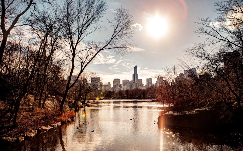 Central Park Lake View