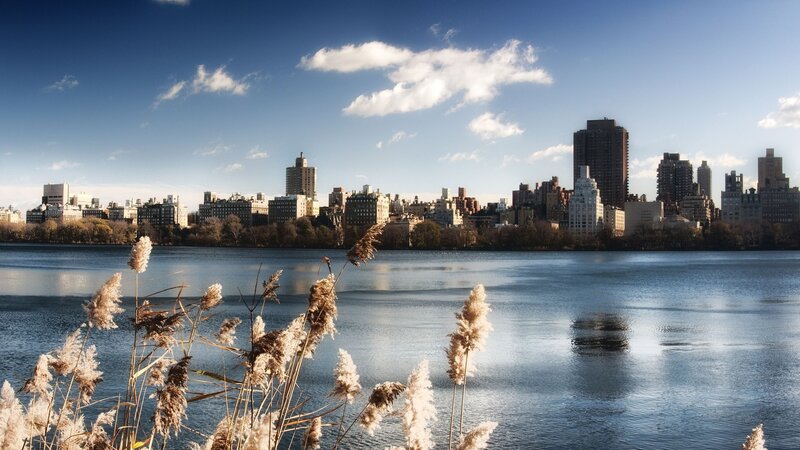 Central Park Lake with City Skyline