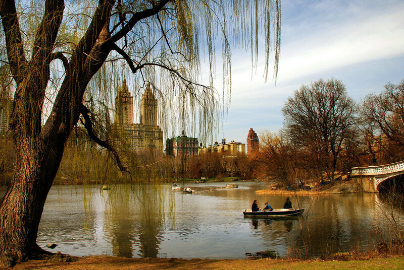 Central Park lake with city skyline