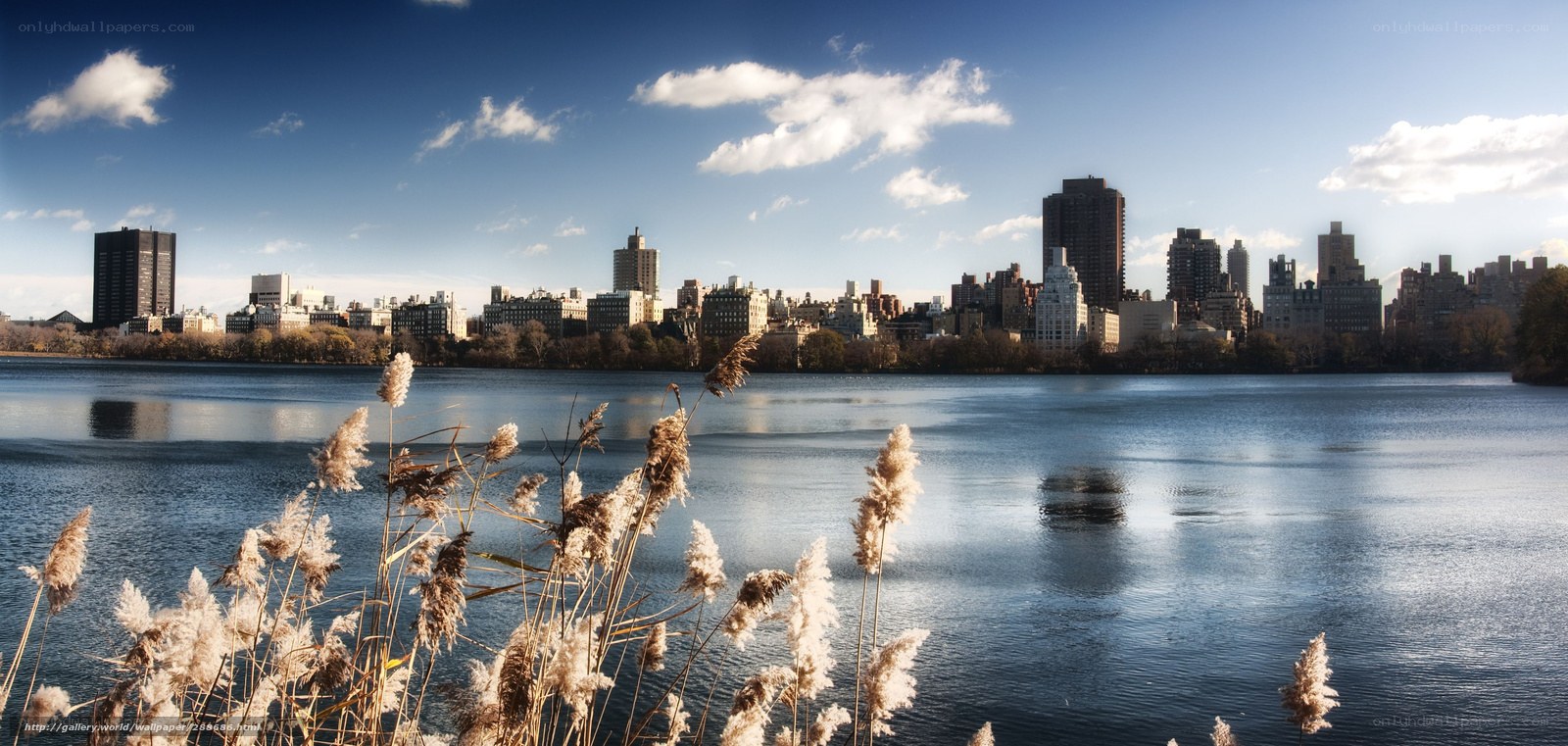 Central Park Lake with City Skyline