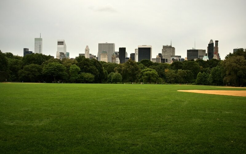 Central Park Lawn