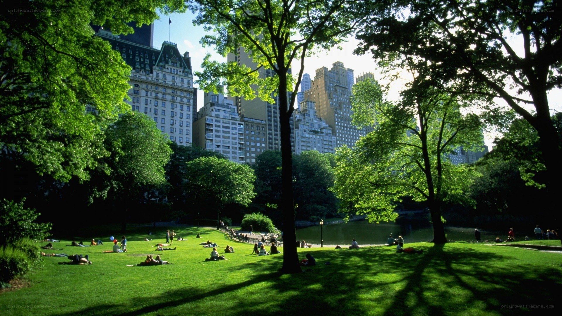 Central Park on a sunny day