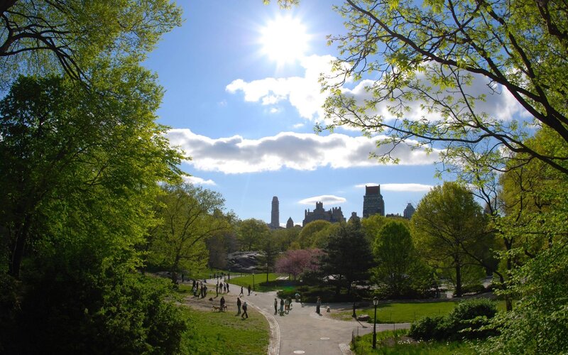 Central Park on a sunny day