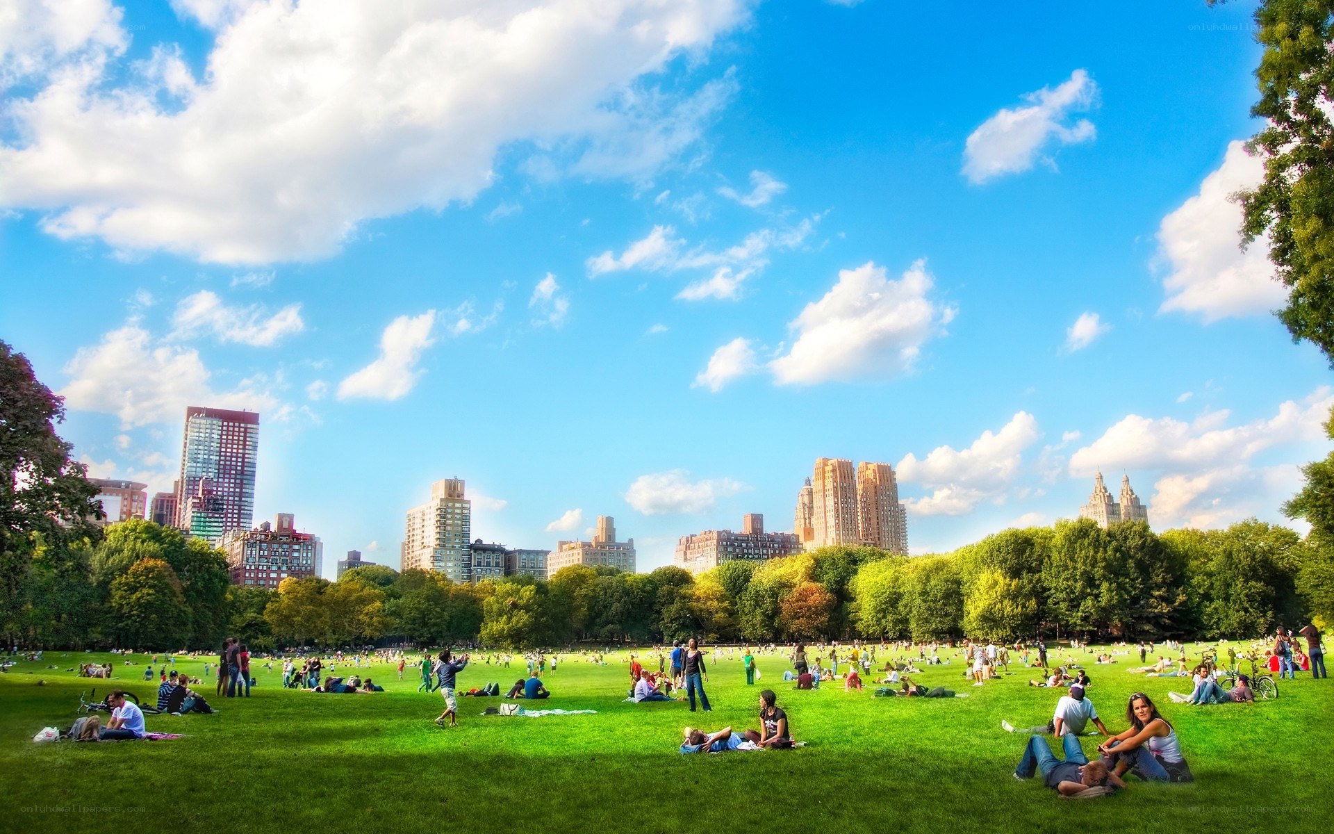 Central Park on a sunny day