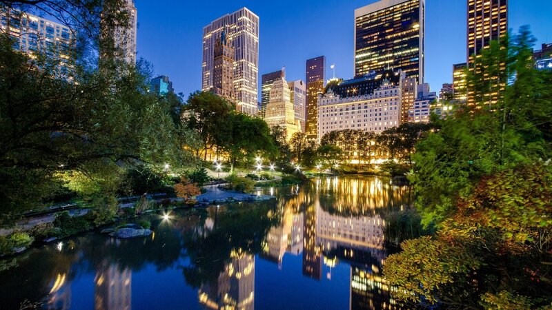 Central Park Pond at Night — Blue, Serene