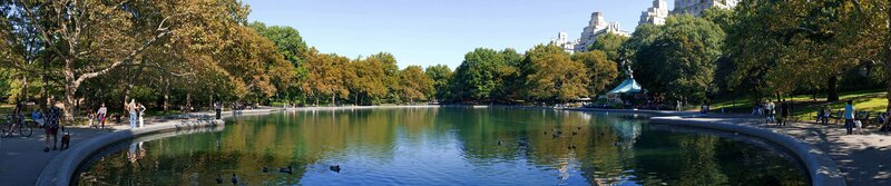 Central Park Pond — Green, Serene, Afternoon