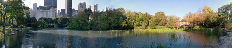 Central Park Pond — Green, Serene, Autumn