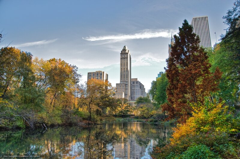 Central Park Pond — Green, Serene