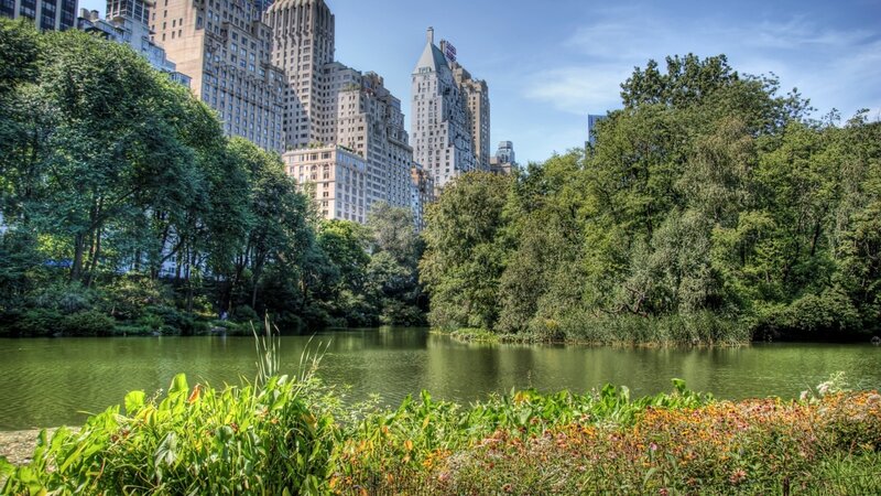 Central Park pond with city skyline