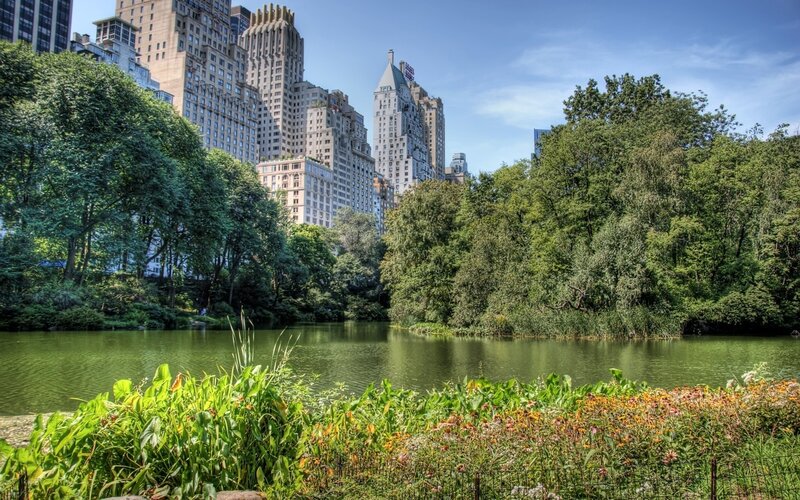 Central Park pond with city skyline