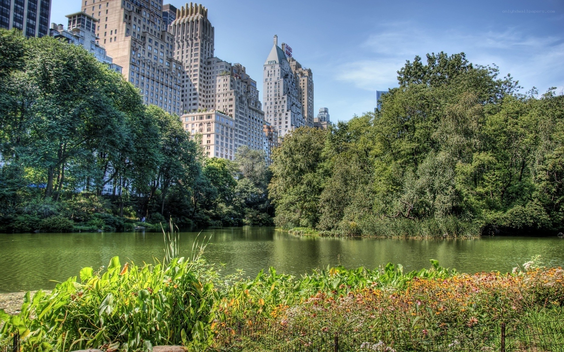 Central Park pond with city skyline