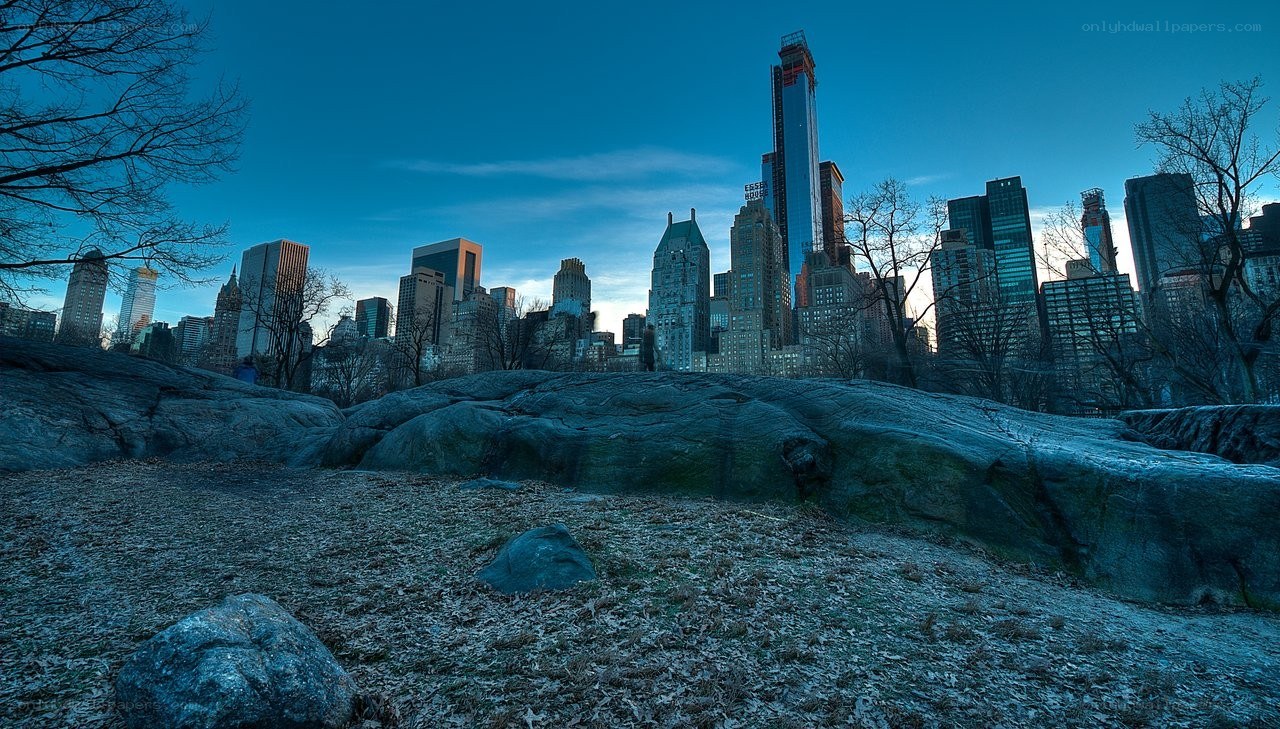 Central Park skyline at dusk