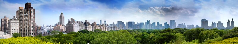 Central Park Skyline — Green, Serene, Afternoon, Photograph, Skyscrapers, Trees