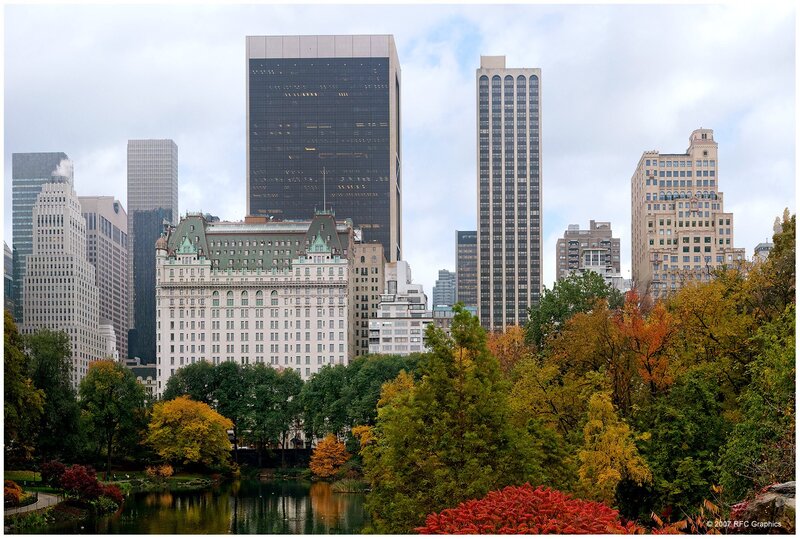 Central Park Skyline — Green, Serene, Autumn, Photograph, Buildings