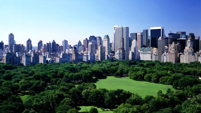 Central Park Skyline — Green, Serene
