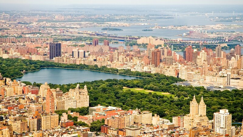 Central Park Skyline — Green