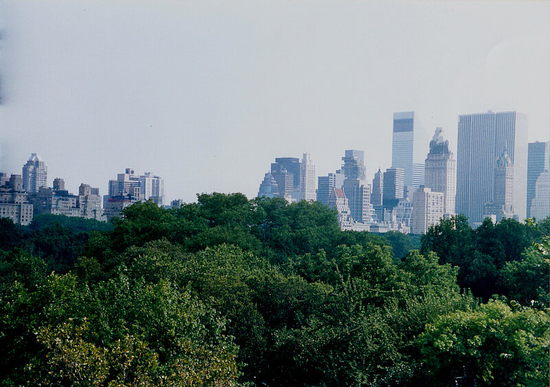 Central Park skyline view