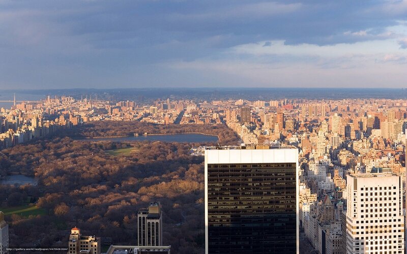 Central Park View — Blue