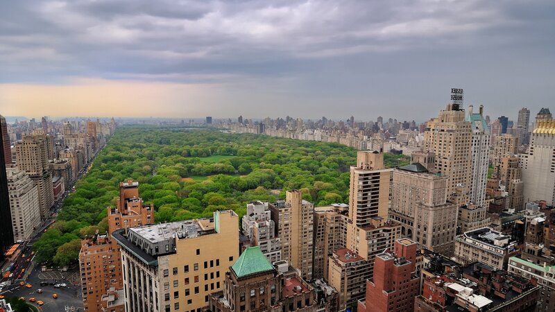 Central Park View — Green, Overcast, Afternoon