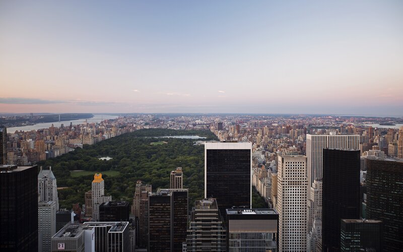 Central Park View — Green, Serene, Sunset, Photograph