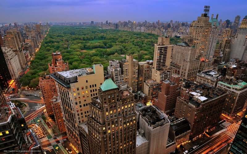 Central Park View — Green, Serene
