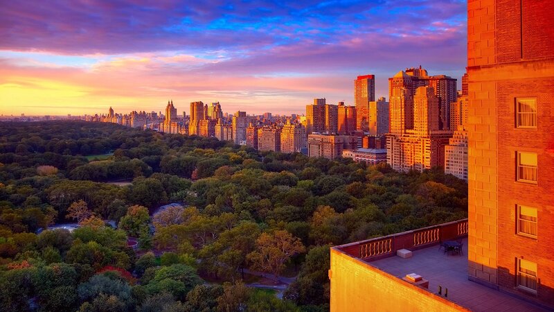 Central Park View — Orange