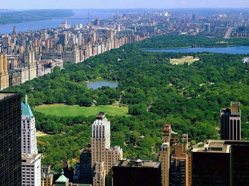 Central Park View