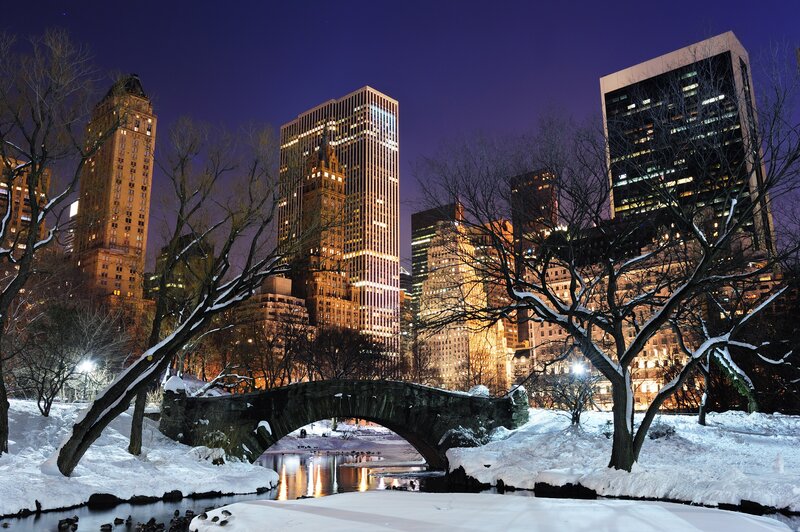 Central Park winter night scene