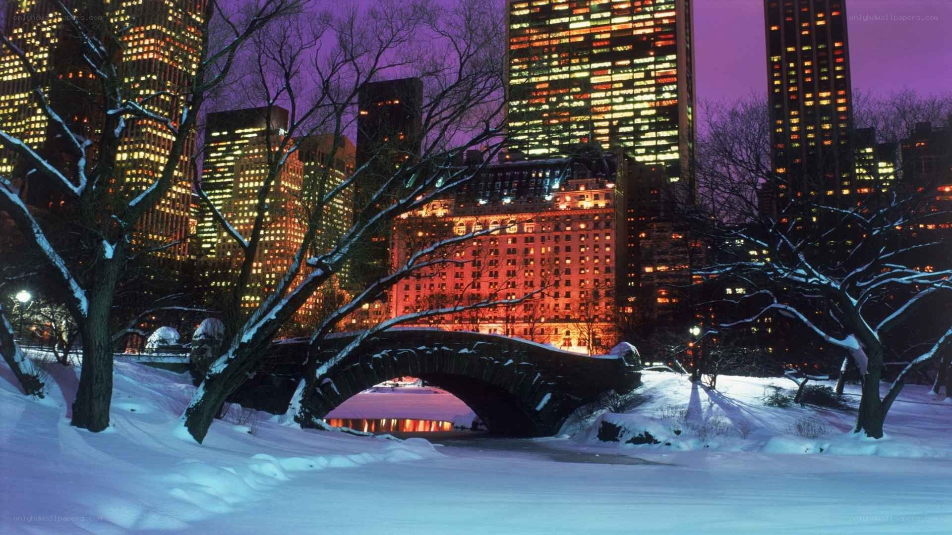 Central Park winter night