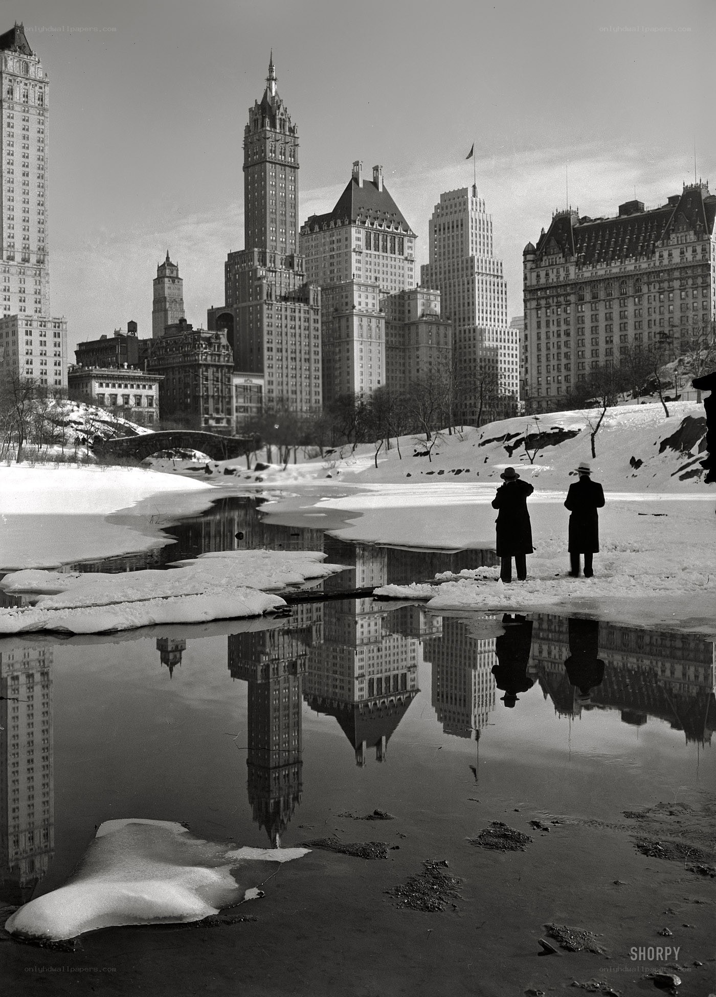 Central Park winter scene