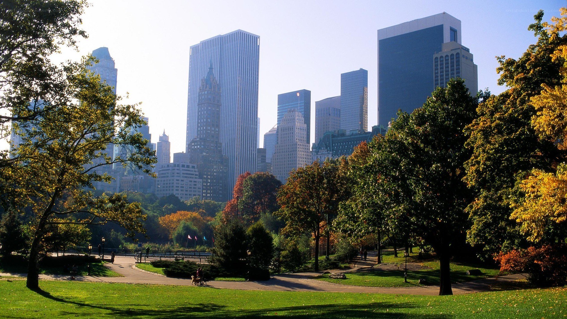 Central Park with city skyline