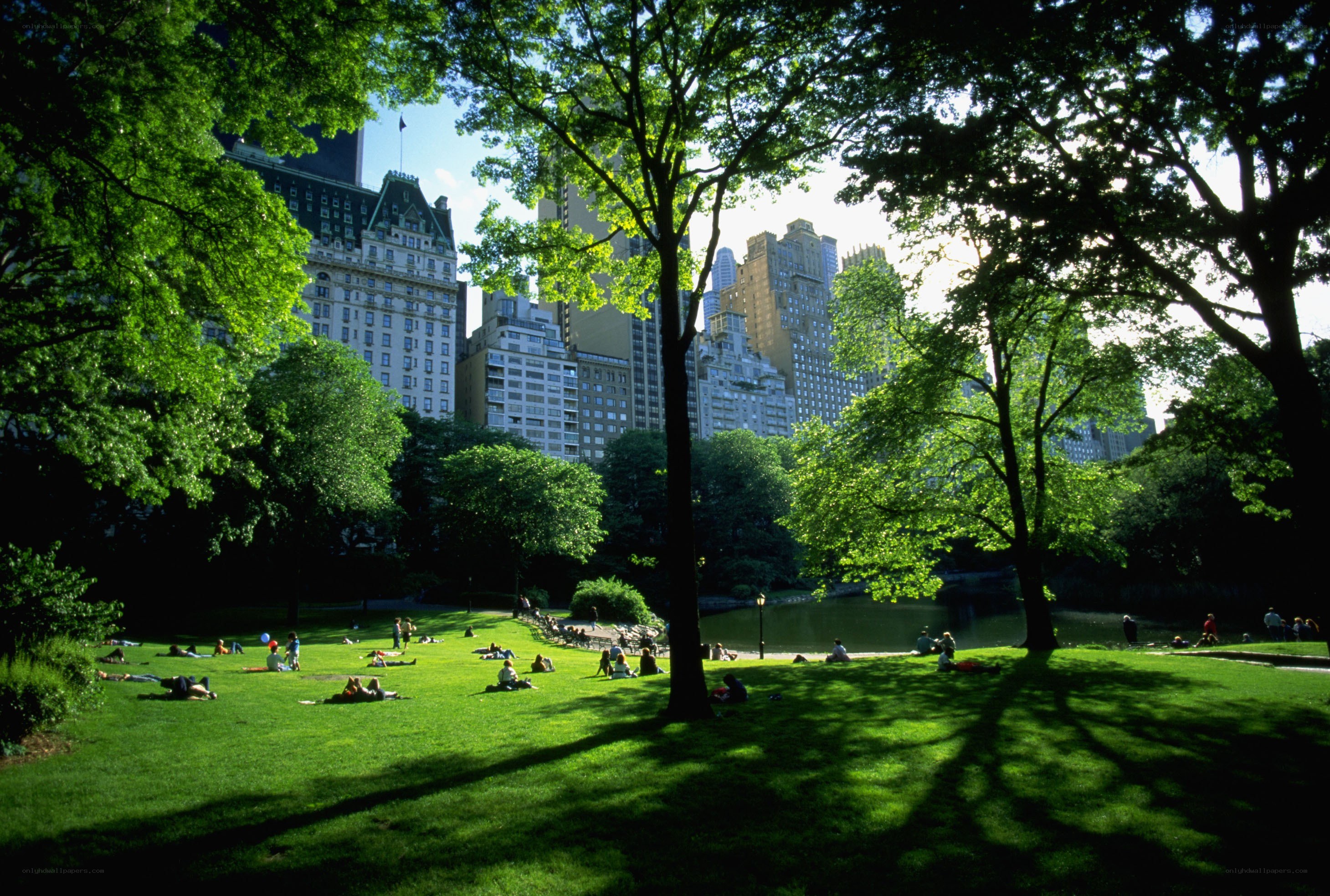 Central Park with city skyline